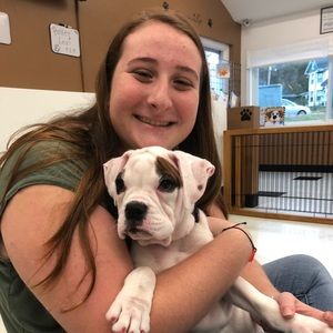 Meet your Posher, Paige